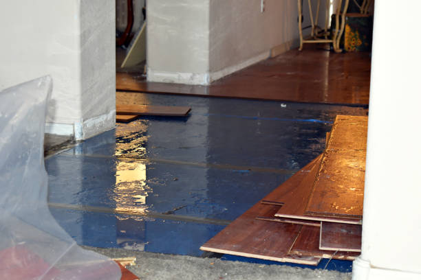 Professional Burst Pipe Cleanup technician working in Durand, MI
